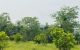thum-8523916_V0f27a9Gwh_1649725783.jpg