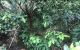 thum-8524591_UuraD7wXBo_1649738524.jpg