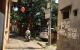 thum-8525590_LUqnYTEsV1_1649768187.jpg