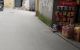 thum-8525590_qbSQaL61wV_1649768184.jpg