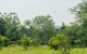 thum-m_MhmoOuDRgI_1649725770.jpg