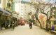 thum-m_p7o3hmEIGi_1649778587.jpg
