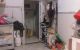 thum-8526475_Z1CLw9yvFz_1649812872.jpeg