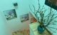 thum-8527736_JXmxCuvgQl_1649837477.jpg