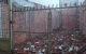 thum-8527872_DLW98lOp6g_1649840308.jpg