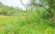 thum-m_Ak4ZzqBSxv_1649831512.jpg