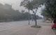 thum-m_WFvXbonGSH_1649819431.jpg