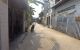 thum-8530242_akwH1q86gi_1649910376.jpg