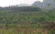 thum-8530970_deDZTAOIno_1649924949.jpg