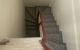 thum-8531277_FlPMkBebxI_1649930075.jpeg