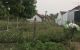 thum-8533602_vQTDGekYEP_1649986431.jpg