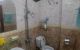 thum-8534038_Iw3kOdYHrq_1649992678.jpg
