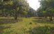 thum-8534833_0iBjd16vtq_1650008247.jpg