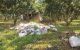 thum-8534833_OdvpMsWQm7_1650008270.jpg