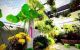 thum-8535034_6GbfSvWEjH_1650011597.jpg