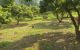 thum-m_b3M4wJTPnZ_1650008244.jpg