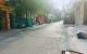 thum-m_cbMG2jEsBX_1650011589.jpg