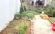 thum-m_jQw9PoUsmx_1649997434.jpeg