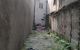 thum-8536636_FNy2GUb3zY_1650072108.jpg