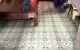 thum-8538306_iQz7lbRgUc_1650124657.jpg