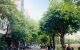 thum-m_mZCBsWPo26_1650207244.jpg