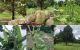 thum-8543148_ke6oGZQYtC_1650292529.jpg