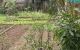 thum-m_gyAI5jwopz_1650254117.jpg