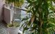 thum-m_qv0CBOiSdT_1650257371.jpg