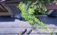 thum-8545488_U0iBfOav4I_1650358076.jpg