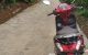 thum-8545790_gBrRSjbXi7_1650366770.jpg