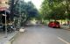 thum-8545911_yjzVFvqOCa_1650383069.jpg