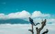thum-m_9oPwpxejM6_1650360264.jpg