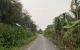 thum-8546021_AwglTB6kE8_1650389514.jpg