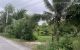 thum-8546021_vx1g6O4MXD_1650389517.jpg