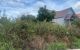 thum-m_DFKQEosOef_1650418308.jpeg