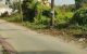 thum-m_tZjvUKXpWm_1650422522.jpg