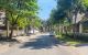 thum-8550103_TIDNRAwgC8_1650510515.jpg