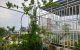 thum-8550452_L1Erd63RwW_1650515566.jpg