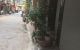 thum-m_PuWlGg4LUQ_1650526738.jpg