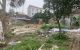 thum-m_RJNpnslFad_1650506317.jpg