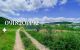 thum-8553804_sLiAUlDBkb_1650617645.jpeg