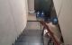 thum-8554155_JVhovbP2y5_1650636943.jpg