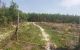 thum-m_Cnkj68PyYO_1650629545.jpg