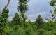 thum-m_UFAXv3Vrq6_1650618519.jpg
