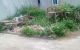 thum-m_VYwytJsB6L_1650610248.jpg