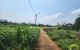 thum-m_d1LU7pfWAy_1650611014.jpg