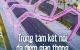 thum-m_irejSQhcmb_1650598765.jpg