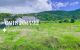 thum-m_jmIv9cJTfr_1650617638.jpeg