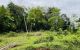 thum-m_xTLwKCcIf0_1650617207.jpg