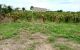 thum-8555075_Dm1ZNWfdGa_1650676005.jpg